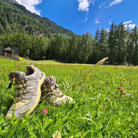 招待所 盖斯特韩斯米诺夫 索尔登